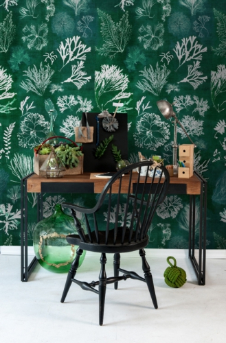 COLLECTABLES INTERIORS