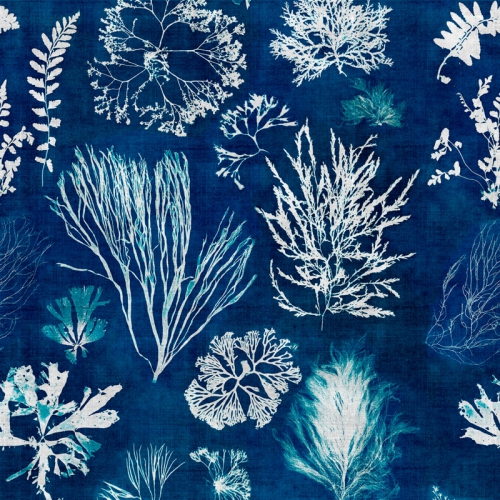 COLLECTABLES PATTERNS