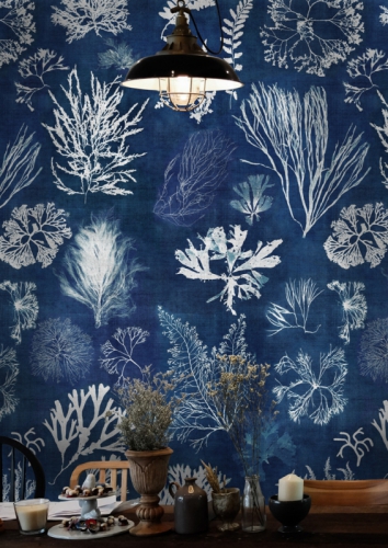COLLECTABLES INTERIORS