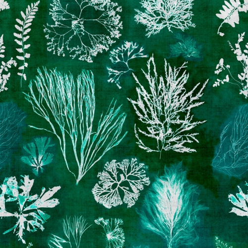 COLLECTABLES PATTERNS