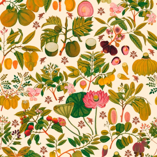 COLLECTABLES PATTERNS