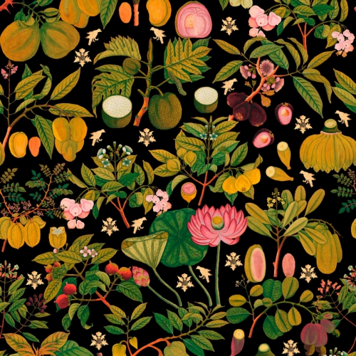 COLLECTABLES PATTERNS