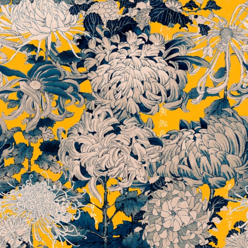COLLECTABLES PATTERNS