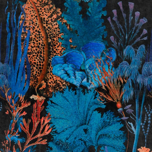 COLLECTABLES PATTERNS