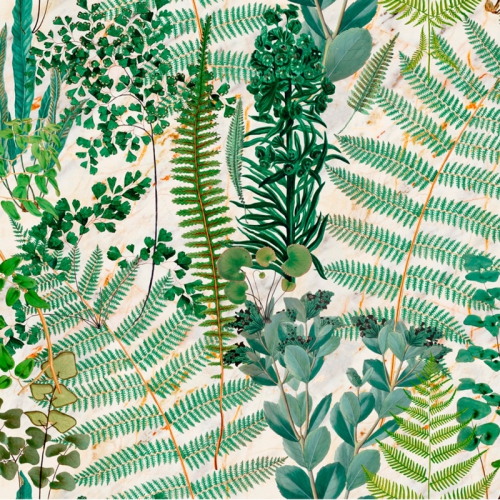 COLLECTABLES PATTERNS