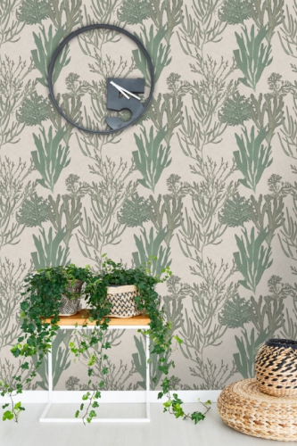 COLLECTABLES INTERIORS