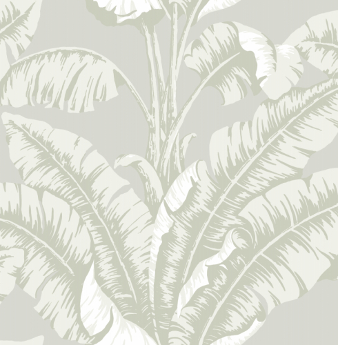 MURAL JANVIER
