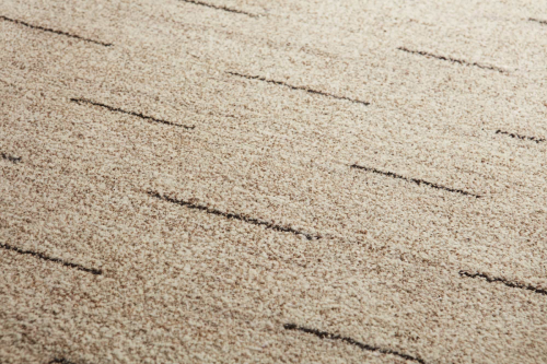 TAPIS