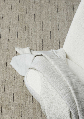 TAPIS