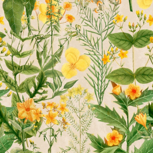 COLLECTABLES PATTERNS