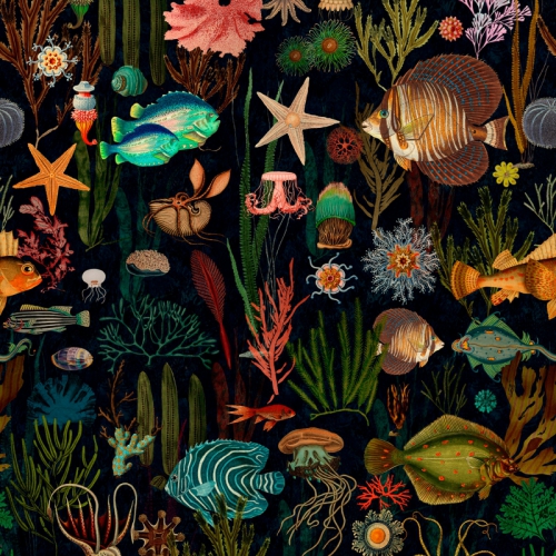 COLLECTABLES PATTERNS