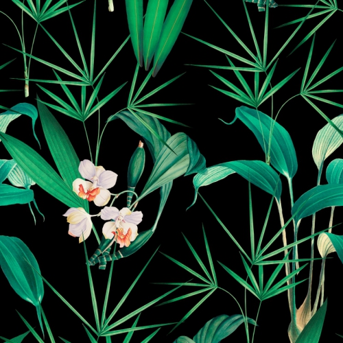COLLECTABLES PATTERNS