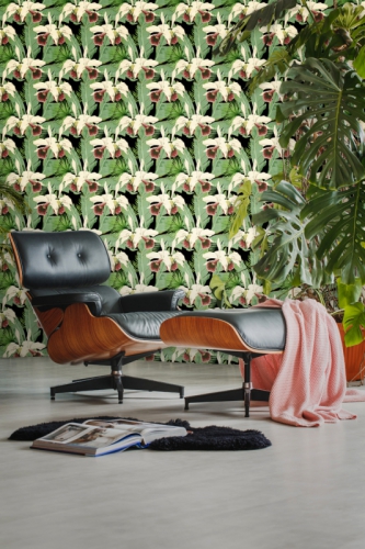 COLLECTABLES INTERIORS