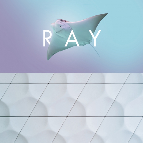 Ray