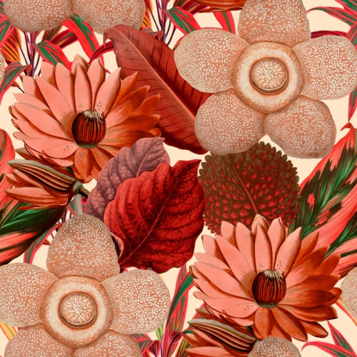 COLLECTABLES PATTERNS