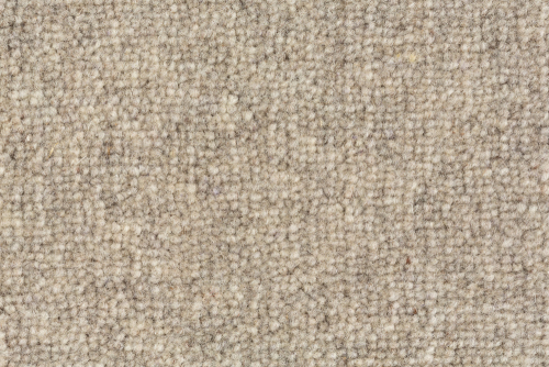 WOOLLY