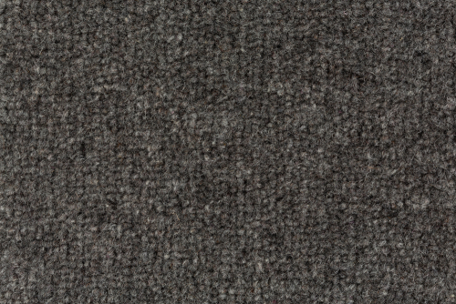 WOOLLY