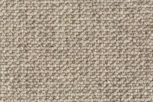 WOOLLY