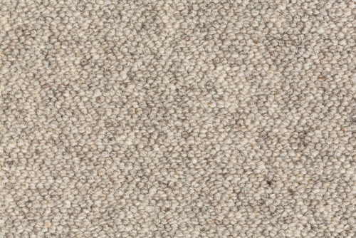 WOOLLY