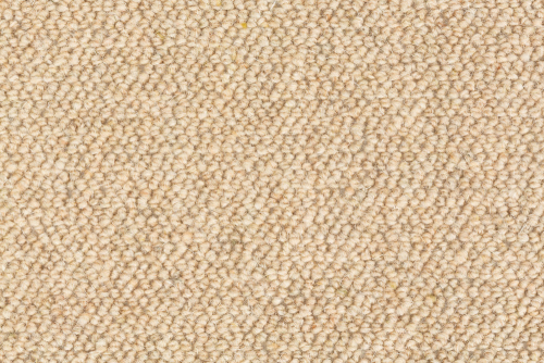 WOOLLY
