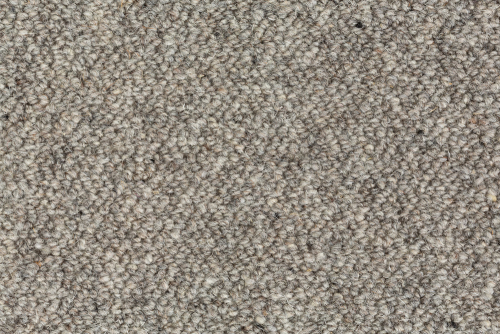 WOOLLY