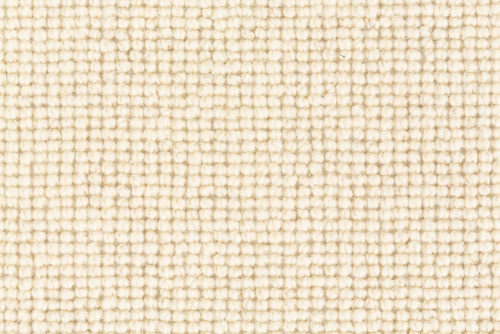 WOOLLY
