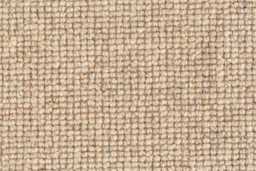 WOOLLY