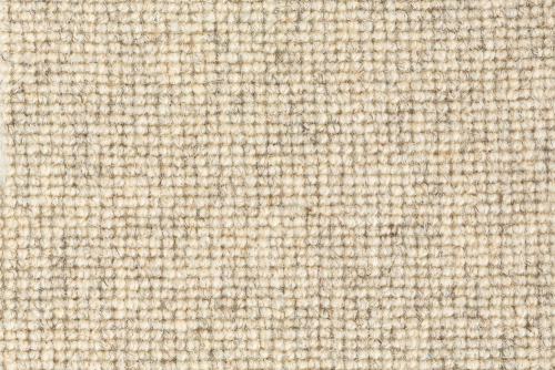WOOLLY