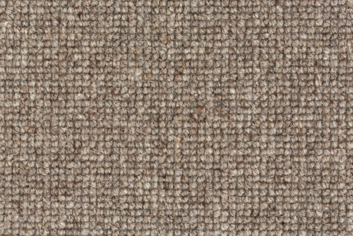 WOOLLY