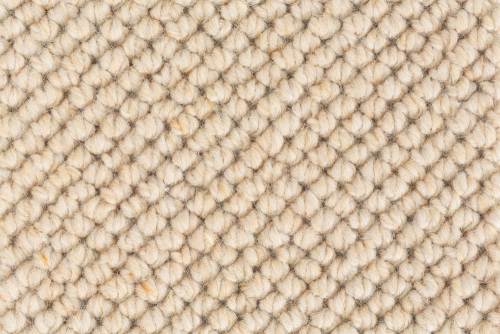WOOLLY