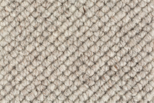 WOOLLY